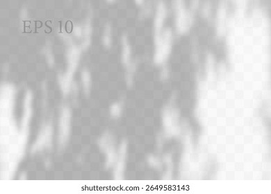 Transparent natural plant shadow. Light effect overlay. Mesh grid. Shadows from branches, plant, foliage and leaves on ground. Presentation your design card, poster Photo realistic vector illustration