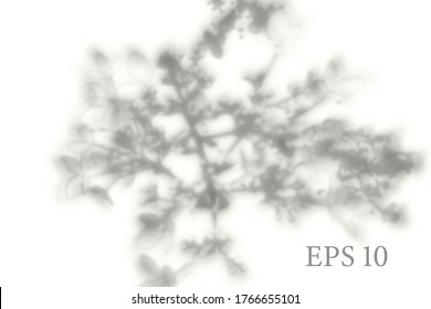 Transparent natural sakura tree branch shadow. Light effect overlay. Mesh grid. Presentation your design card, poster, stories Photo realistic vector illustration