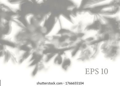 Transparent natural sakura tree branch shadow. Light effect overlay. Mesh grid. Presentation your design card, poster, stories Photo realistic vector illustration