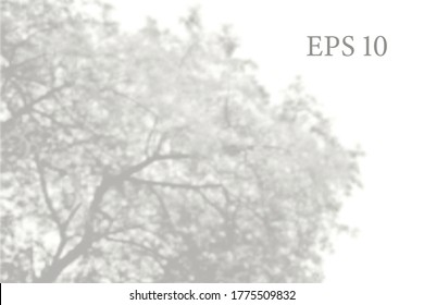 Transparent Natural Tree Branches Shadow. Light Effect Overlay. Mesh Grid. Presentation Your Design Card, Poster, Stories Photo Realistic Vector Illustration