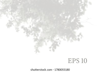 Transparent natural tree branches shadow. Light effect overlay. Mesh grid. Presentation your design card, poster, stories Photo realistic vector illustration