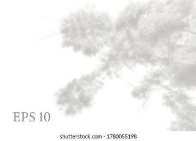 Transparent natural tree branches shadow. Light effect overlay. Mesh grid. Presentation your design card, poster, stories Photo realistic vector illustration