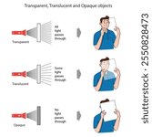 Transparent objects allow all light to pass through for clear visibility, translucent objects scatter light partially, creating a blurred view, and opaque objects block light completely