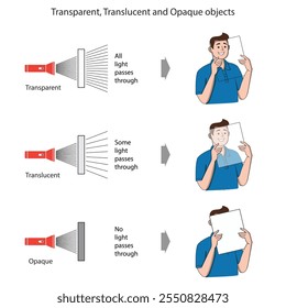 Objetos transparentes permitem que toda a luz passe para uma visibilidade clara, objetos translúcidos espalham a luz parcialmente, criando uma visão borrada e objetos opacos bloqueiam a luz completamente