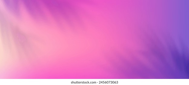 Transparent overlay shadow on colorful background. Tropical palm leaves shadows.