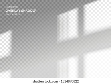 Transparent overlay shadow from the window. Scenes of natural lighting. Photo-realistic vector illustration.
