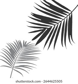 Transparent Palm Leaf Shadow: Natural Overlay for Tropical Design