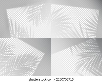 Transparente Palme hinterlässt Schattenhintergrund. Tropischer Baumsommerschatten, realistischer Hintergrund oder Vektorhintergrund. Blattreflexion im Fensterrahmen, hellgrauer Hintergrund aus Palmblättern