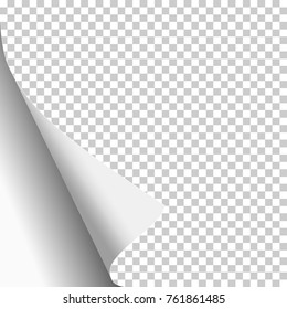 Transparent paper sheet with curled lower left corner and white background under it. Template paper design. Vector illustration.