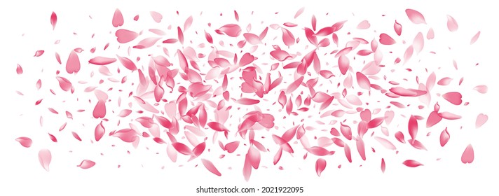 Transparent Peach Petal Vector Panoramic Background. Pastel Spa Flower Petal Banner. Cherry Petal Springtime Card. Spring Rose Petal Congratulation.