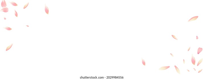 Transparent Peach Petal Vector Panoramic Background. White Japanese Flower Petal Poster. Apple Petal Aroma Cover. Invitation Lotus Petal Design.