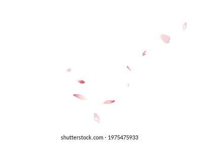 Transparent Peach Petal Vector White Background. Color Springtime Apple Petal Frame. Sakura Petal Bright Banner. Blossom Cherry Petal Template.