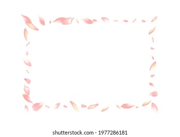 Transparent Peach Petal Vector White Background. Pink Japanese Flower Petal Pattern. Apple Petal Summer Backdrop. Wedding Sakura Petal Texture.