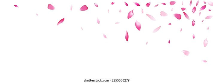Transparent Peach Petal Vector White Background. White Springtime Flower Petal Template. Cherry Petal Fall Banner. Floor Sakura Petal Texture.