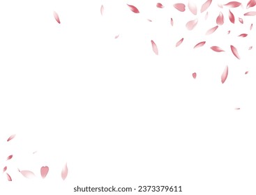 Transparent Peach Petal Vector White Background. Color Bright Flower Petal Congratulation. Lotus Petal Air Texture. Floral Apple Petal Card.