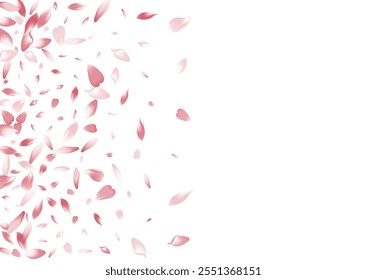 Transparent Peach Petal Vector White Background. Pastel Valentine Sakura Petal Congratulation. Lotus Petal Romance Design. Dream Rose Petal Pattern.