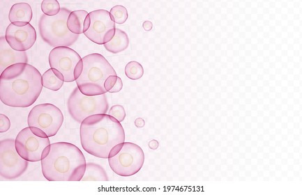 Transparent pink cell stem background template. Biology research dna nucleus cells vector pattern.