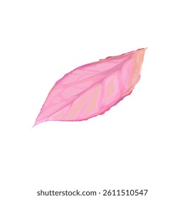 transparent pink leaf illustration without background