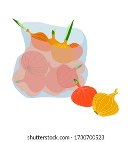 transparent plastic bag with yellow & orange onion store goods packaged for delivery, color vector illustration isolated on a white background in a flat and hand drawn style
