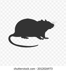 Transparent rat icon png, vector illustration of an rat icon in dark color and transparent background(png)