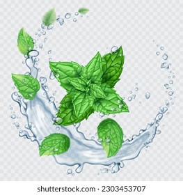 Transparent realistic vector  water splash and mint leaves on light background