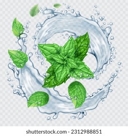 Transparent realistic vector  water splash and mint leaves on light background