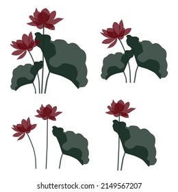 Transparent Red Lotus Flower Illustration