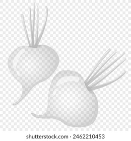 Remolacha madura transparente. Para el diseño de la etiqueta engomada y de la camiseta, carteles, logotipos, etiquetas, Anuncios, menú, diseño del embalaje del producto, etc. Ilustración vectorial.