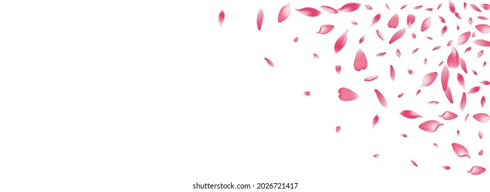 Transparent Rose Petal Vector Panoramic Background. Pastel Floor Peach Petal Design. Lotus Petal Flying Congratulation. Beauty Flower Petal Template.