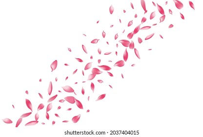 Transparent Rose Petal Vector White Background. White Wedding Sakura Petal Pattern. Flower Petal Fall Congratulation. Fresh Apple Petal Cover.