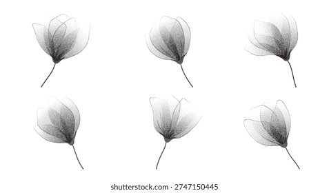 Transparent roses in pointillism stipple effect.Gentle botanical flower set with subtle spray texture.Fragile floral element with dainty aesthetic for minimal prints,posters,branding,invitations.