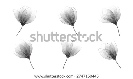 Transparent roses in pointillism stipple effect.Gentle botanical flower set with subtle spray texture.Fragile floral element with dainty aesthetic for minimal prints,posters,branding,invitations.