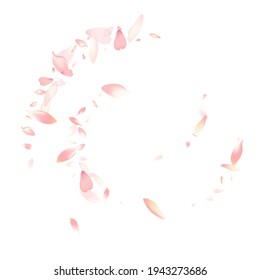Transparent Sakura Petal Vector White Background. Purple Spa Rose Petal Card. Peach Petal Free Design. Fly Lotus Petal Poster.