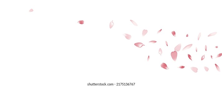 Transparent Sakura Petal Vector White Background. White Fall Lotus Petal Backdrop. Cherry Petal Japanese Product. Summer Rose Petal Frame.