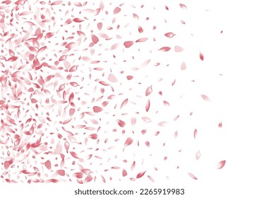 Fondo blanco transparente del vector Sakura Petal. Patrón Petal de flor de Aroma rosa. Afiche del sueño de Cherry Petal. Ilustración De Petal De Primavera.