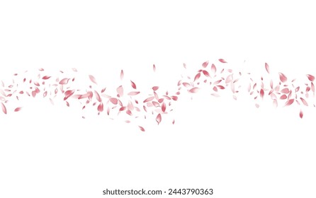 Transparent Sakura Petal Vector White Background. White Japan Rose Petal Illustration. Lotus Petal Romance Frame. Invitation Cherry Petal Texture.