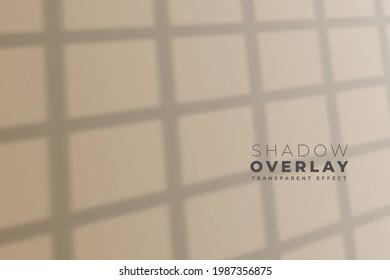 Transparent shadow effect of windowpane background