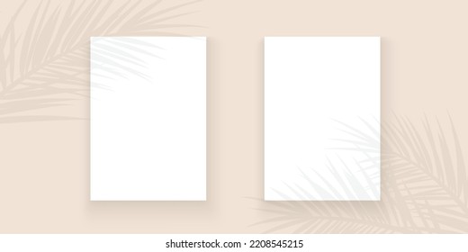Transparent shadow on poster. Transparent shadows of palm leaf. Shadow overlay effect.