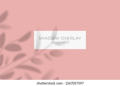 Transparent shadow overlay effect for branding. Drop shadow from the branches of plant on flat surface. Background for your design. Vector eps 10.