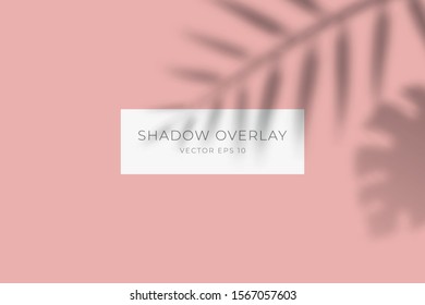 Transparent shadow overlay effect for branding. Palm leaf drop shadow on flat surface. Background for your design. Vector eps 10.