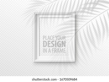 The transparent shadow overlay effect. Mockup with picture frame and overlay a palm leaf shadow. Vector illustration EPS10