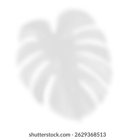 The transparent shadow overlay effect monstera leaf. Realistic transparent shadow of a palm branch. Mockup with tropic leaves shadow. Vector illustration