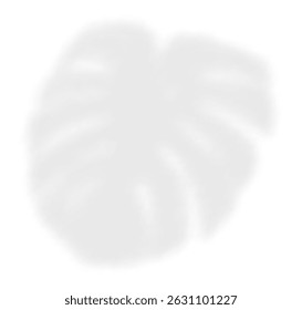 The transparent shadow overlay effect monstera leaf. Realistic transparent shadow of a palm branch. Mockup with tropic leaves shadow. Vector illustration