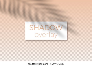 Transparent shadow overlay effect. Palm leaves light shadow on blank leaflet. Blogging, mockup design template. Vector illustration. 