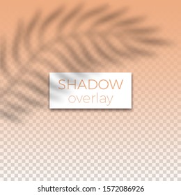 Transparent shadow overlay effect. Palm leaves light shadow on blank leaflet. Blogging, social media stories mockup design template. Vector illustration. 