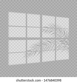 Transparent shadow overlay effect. Tropic leaf and window blind. Realistic window light and shadow. Shadow overlays effect for mockup presentations. Photo-realistic illustration with palm leaves.