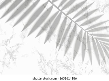 The transparent shadow overlay effect. Tropic leaf on the white marble background. Vector.