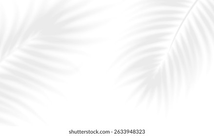 The transparent shadow overlay effect tropical leaves. Realistic shadow of palm branch. Mockup of transparent tropic leaves shadow and natural lightning. Vector illustration