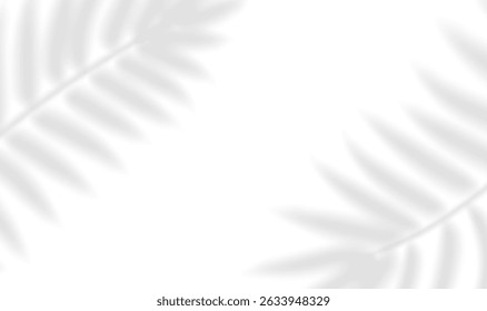 A sombra transparente sobrepor efeito folhas tropicais. Sombra realista da ramificação da palma. Mockup de samambaia tropical transparente deixa sombra e relâmpago natural. Ilustração vetorial