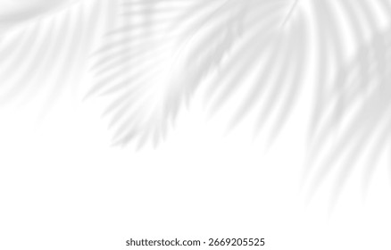 Transparent shadow overlay effect tropical leaves. Realistic shadow of palm branch. Mockup of transparent tropic leaves shadow and natural lightning. Vector illustration